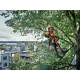 Αλυσοπρίονο μπαταρίας HUSQVARNA T536Li XP, 12 ιντσών