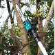Μπαταριοκίνητο τηλεσκοπικό πριόνι Makita UA004GZ, XGT, 40 V, 30 εκ. 